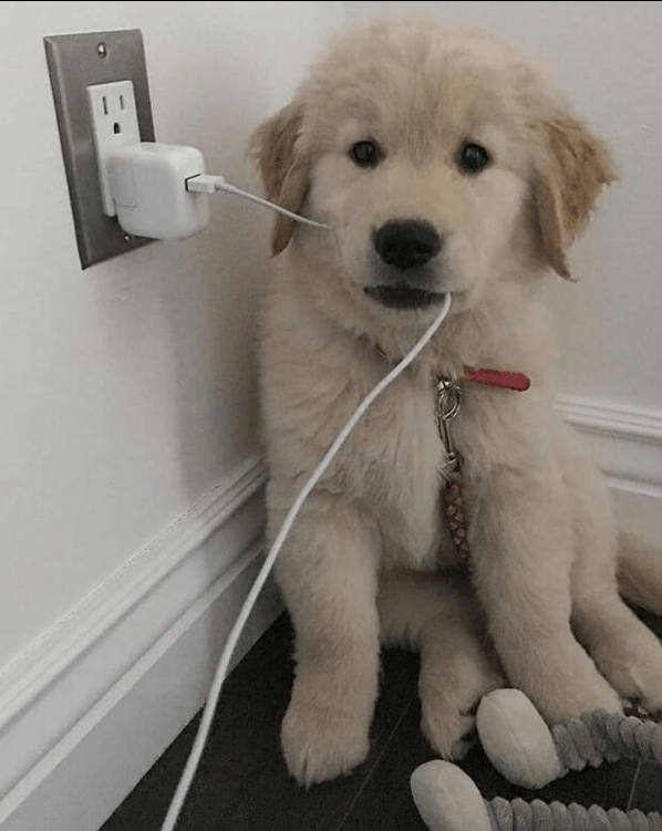 USB-C charging cable